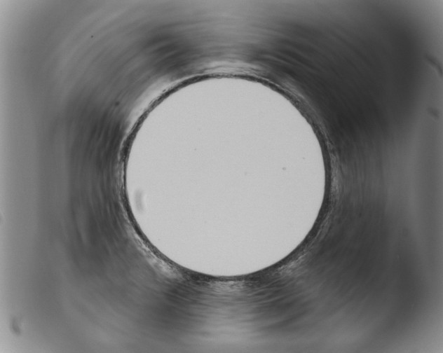 X0000103471376200810241003