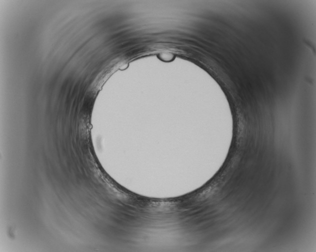 X0000103471377200810241003