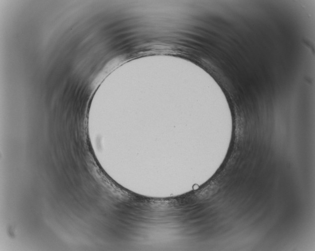 X0000103471378200810241003