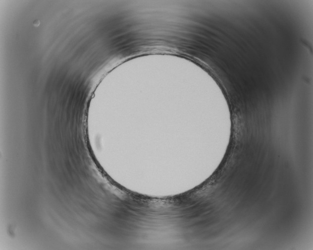 X0000103471379200810241003