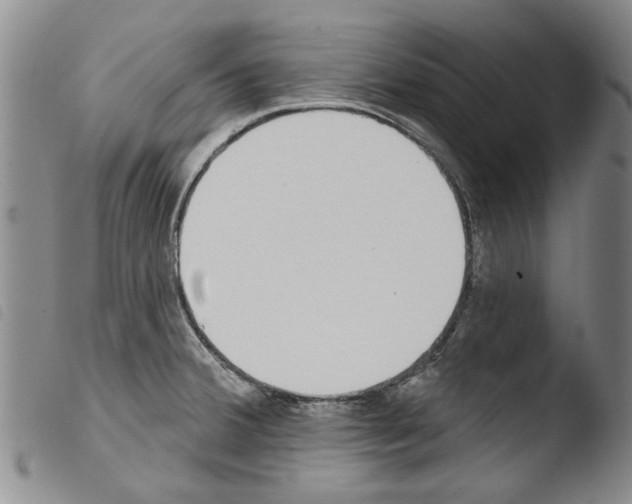X0000103471380200810241003