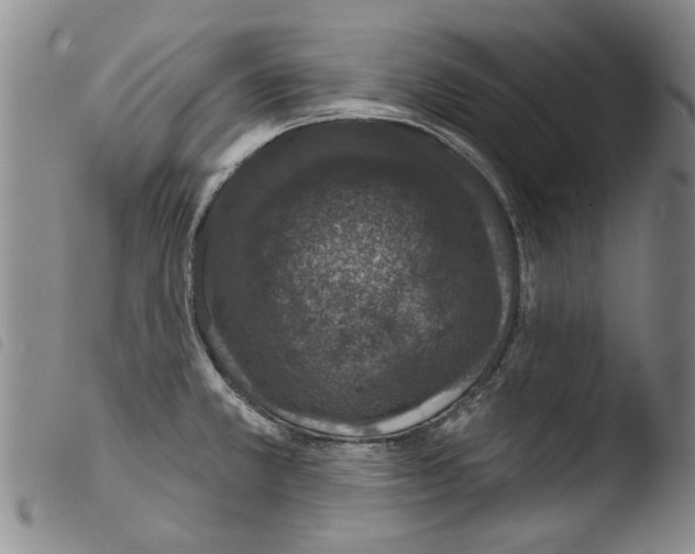 X0000103471381200810241003
