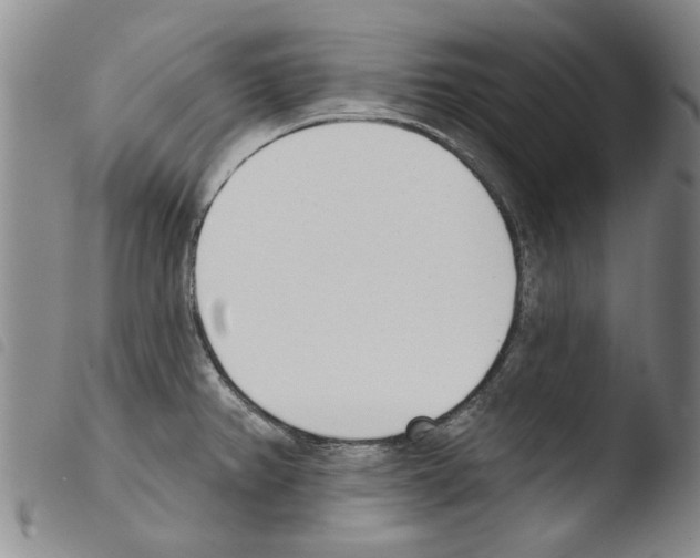 X0000103471382200810241003