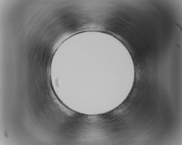 X0000103471383200810241003