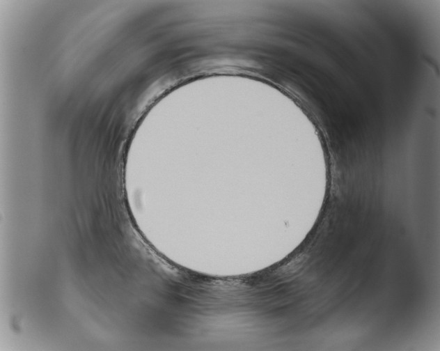 X0000103471384200810241003