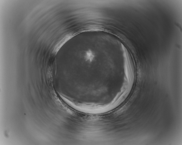 X0000103471385200810241003