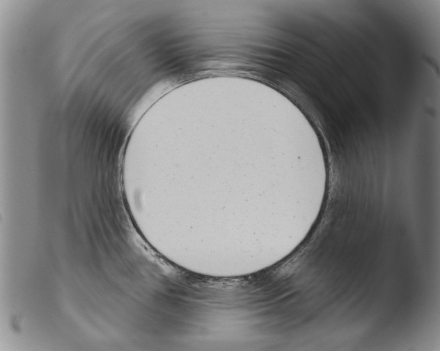 X0000103471386200810241003