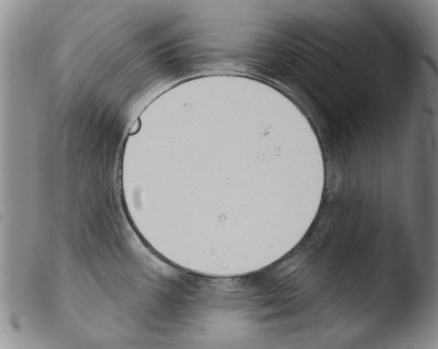 X0000103471387200810241003