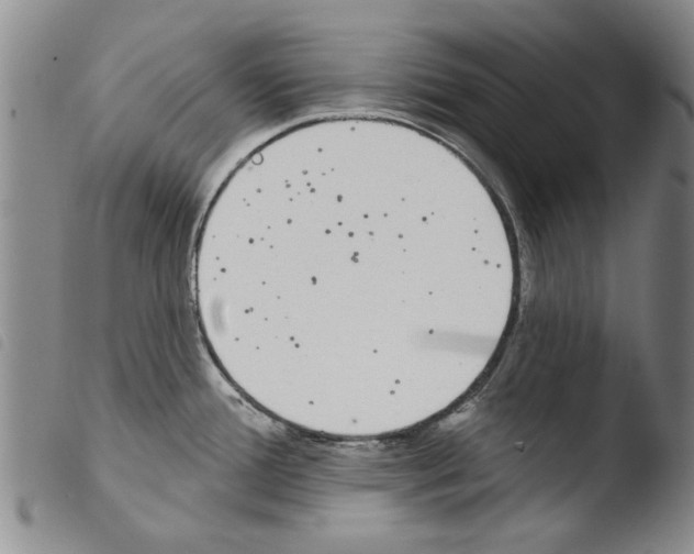 X0000103471388200810241003