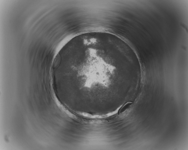X0000103471389200810241003
