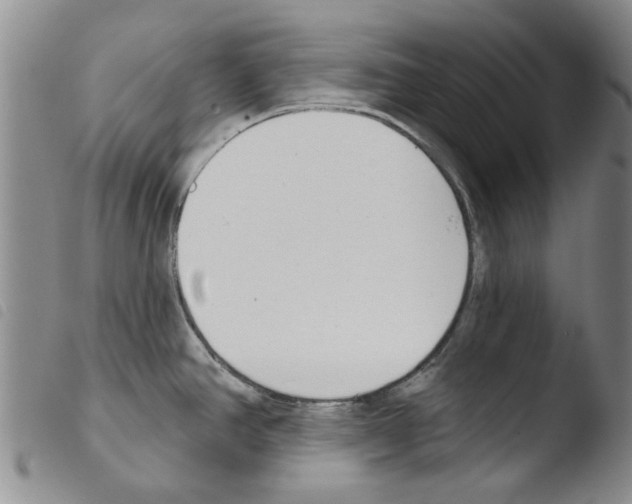 X0000103471390200810241003