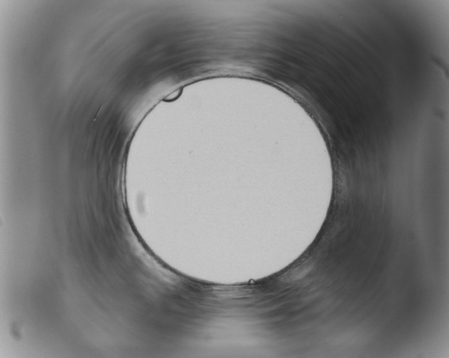 X0000103471391200810241003