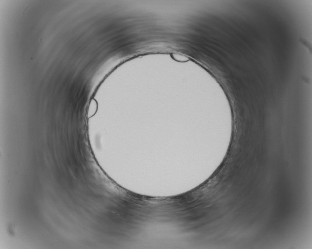 X0000103471392200810241003
