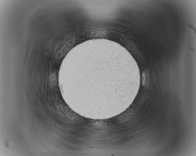 X0000103471395200810241002