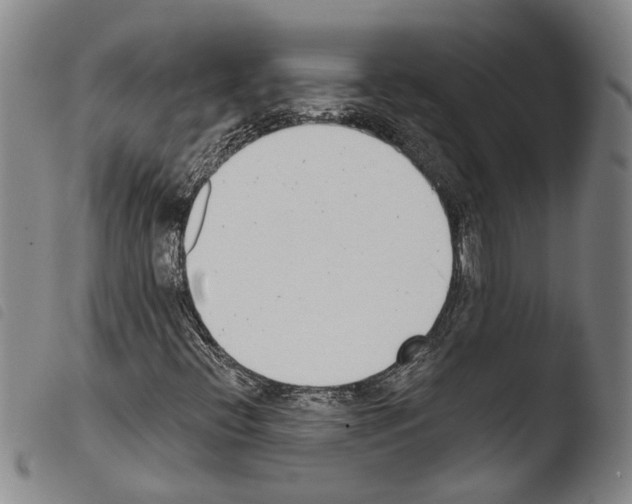 X0000103471396200810241002