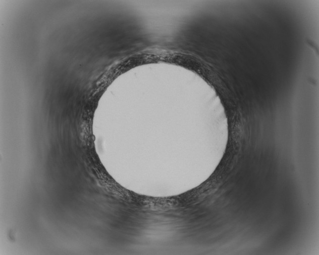 X0000103471397200810241002