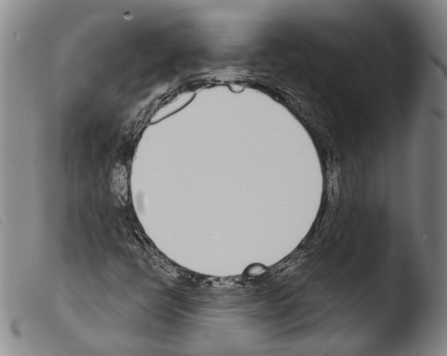 X0000103471398200810241002
