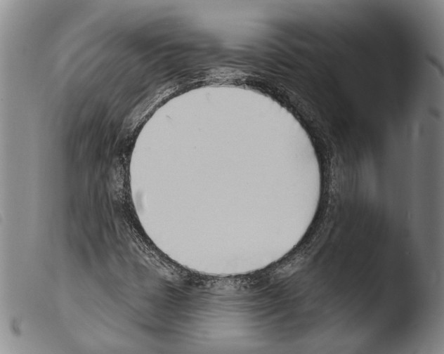 X0000103471401200810241002