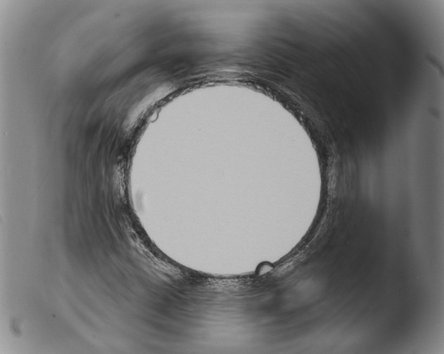 X0000103471402200810241002