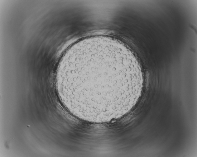 X0000103471404200810241002
