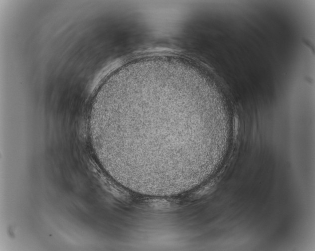 X0000103471405200810241002