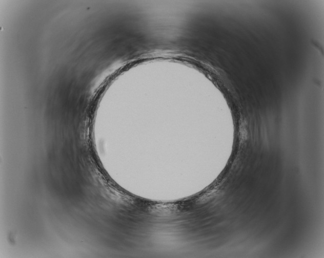 X0000103471406200810241002