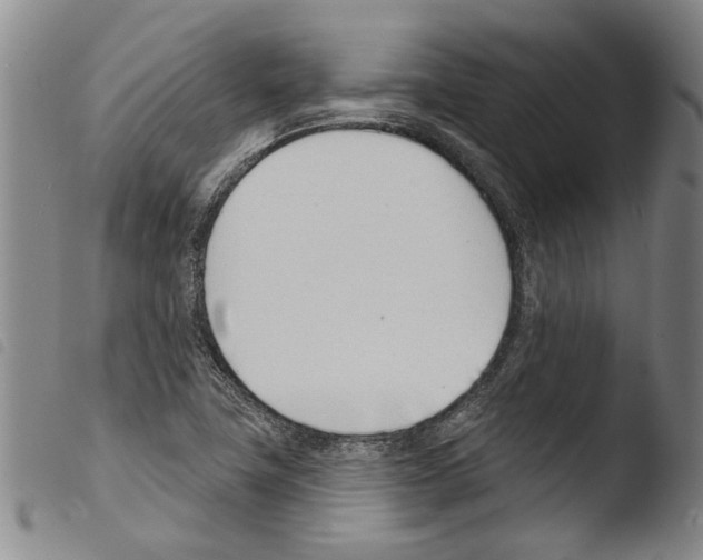 X0000103471411200810241002