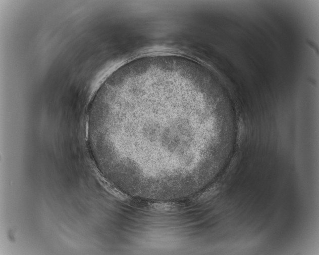 X0000103471413200810241002