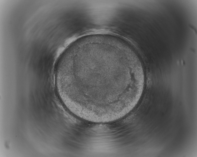X0000103471414200810241002