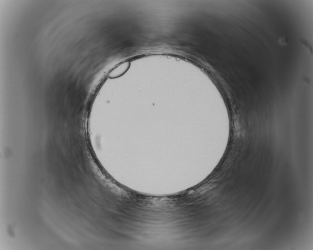 X0000103471416200810241003