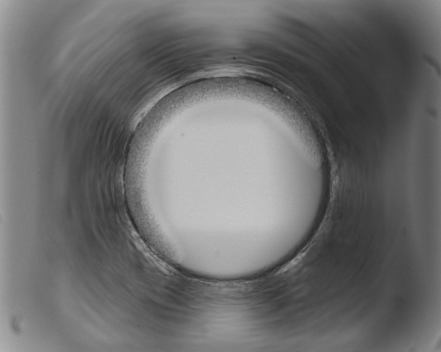 X0000103471417200810241003