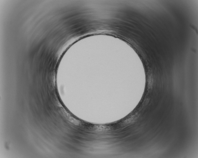 X0000103471420200810241003