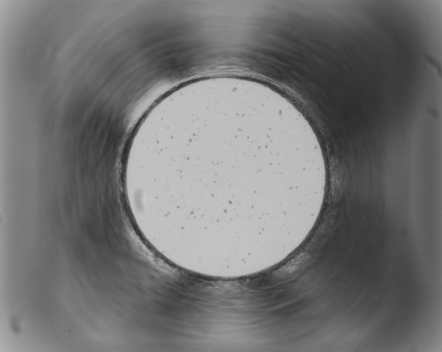 X0000103471422200810241003