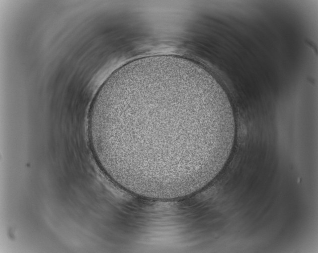 X0000103471423200810241003