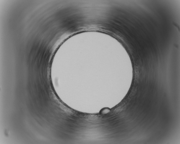 X0000103471424200810241003