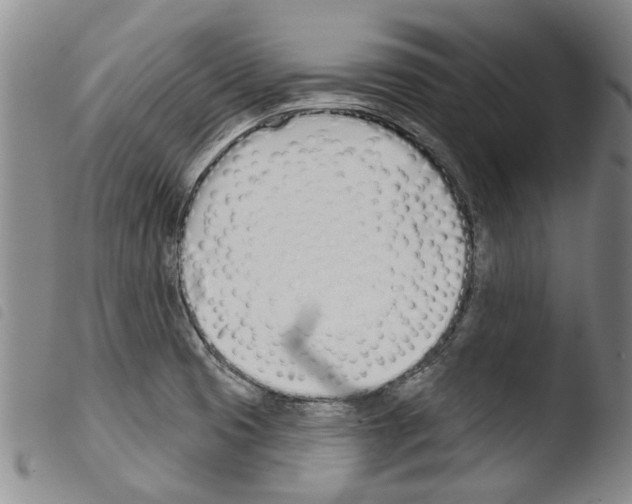 X0000103471425200810241003