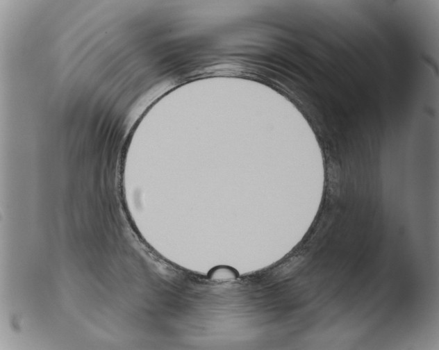 X0000103471426200810241003