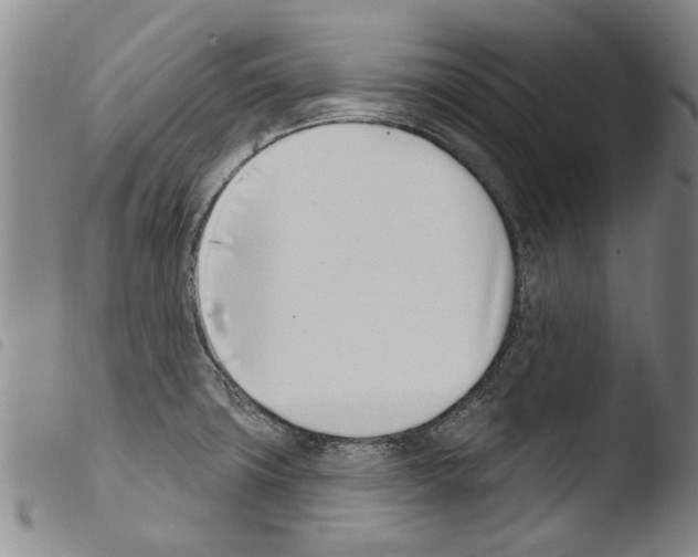 X0000103471427200810241003