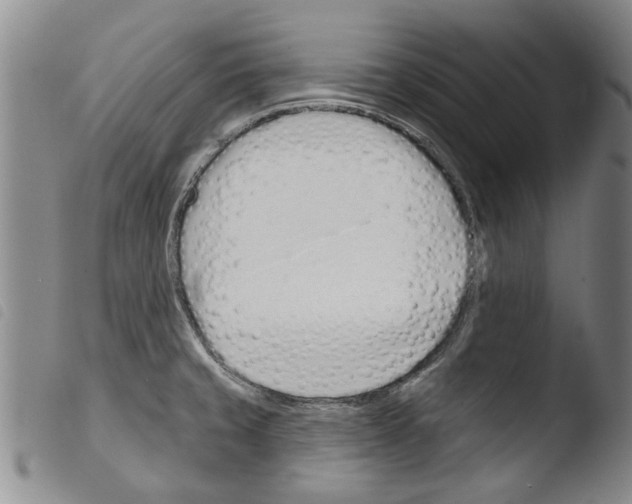 X0000103471429200810241003