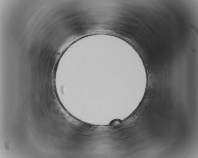 X0000103471430200810241003