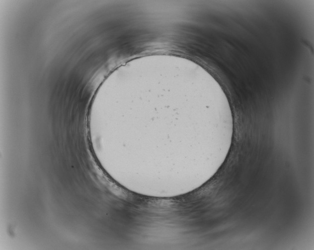 X0000103471431200810241003