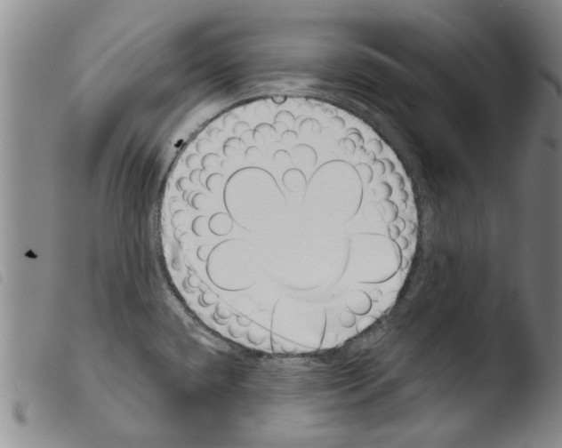 X0000103471432200810241003