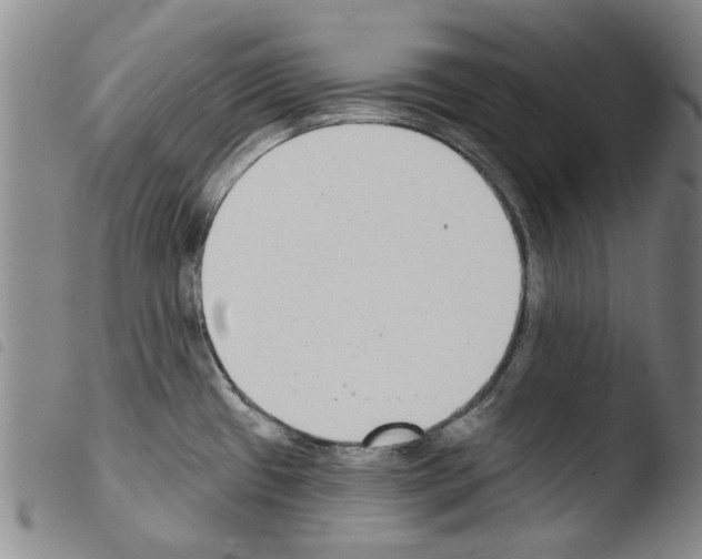 X0000103471433200810241003