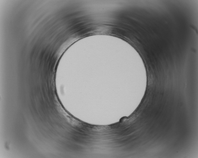 X0000103471434200810241003