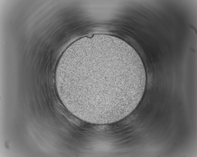 X0000103471435200810241003
