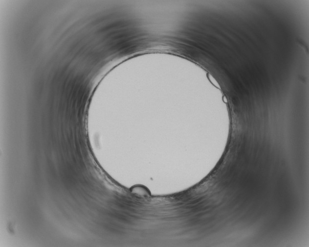 X0000103471436200810241003