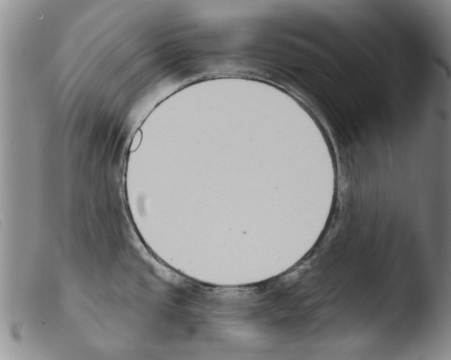 X0000103471437200810241003
