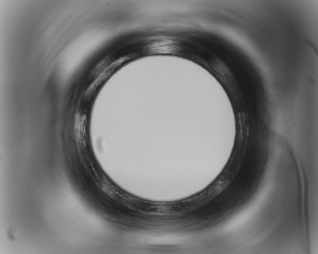 X0000103471438200810241003