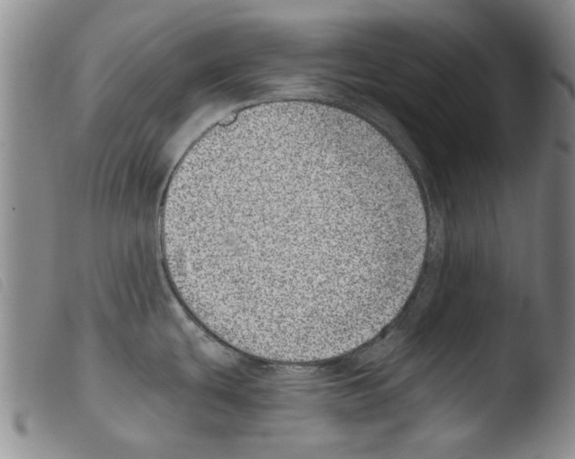 X0000103471439200810241003