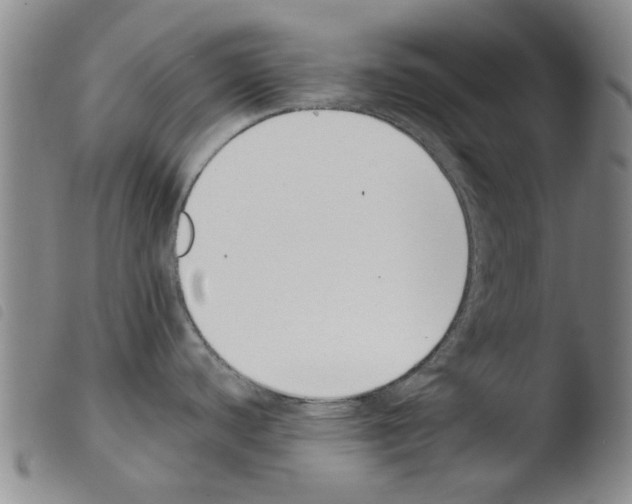 X0000103471440200810241003
